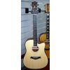 Vermont – G120CE-N – Chitarra Acustica Elettrificata Dreadnought – Natural
