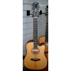 Framus – FD-14SVCE-12 VSNT – Chitarra Acustica Dreadnought Amplificata 12 Corde – Satin Vintage Natural