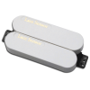 Lace – Dually Gold Gold Sensor – Bianco