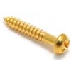 0495-1923 G – Vite fissaggio cerniera vibrato – Dorata