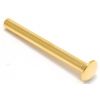 0495-1635 G – Perno fissaggio cerniera attacco vibrato – Dorato