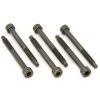 FR1-SLSB – Set 6 viti bloccaggio grani ferma corde per ponti Genuine Floyd Rose per chitarra elettrica – Serie 1000/Special – Nero