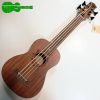 Flight DUBS Ukulele Basso Elettro-Acustico con Borsa