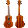 Flight NUC250 NA – Ukulele Concerto con Borsa
