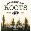 AR1152 – Corde per chitarra acustica – American Roots Monel Acoustic