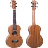 Flight DUC323 – Ukulele Concerto con Borsa